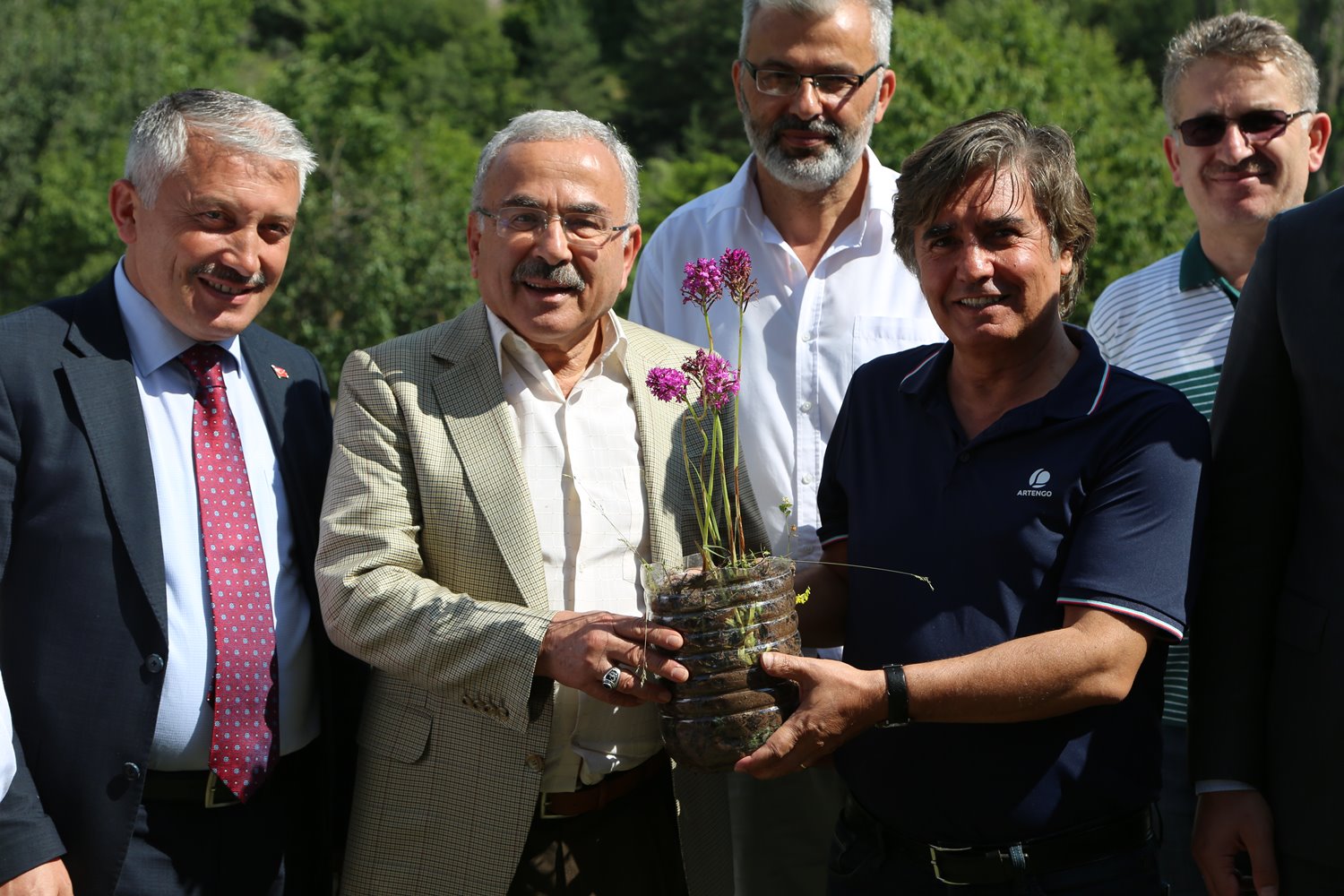 şifalı bitki